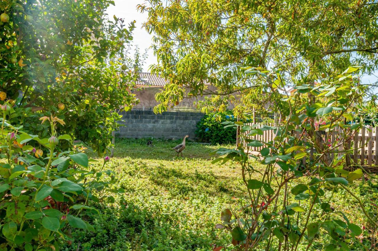 Las Ocas Boutique Apartamento - Solo Adultos มูรอส เด นาลอน ภายนอก รูปภาพ